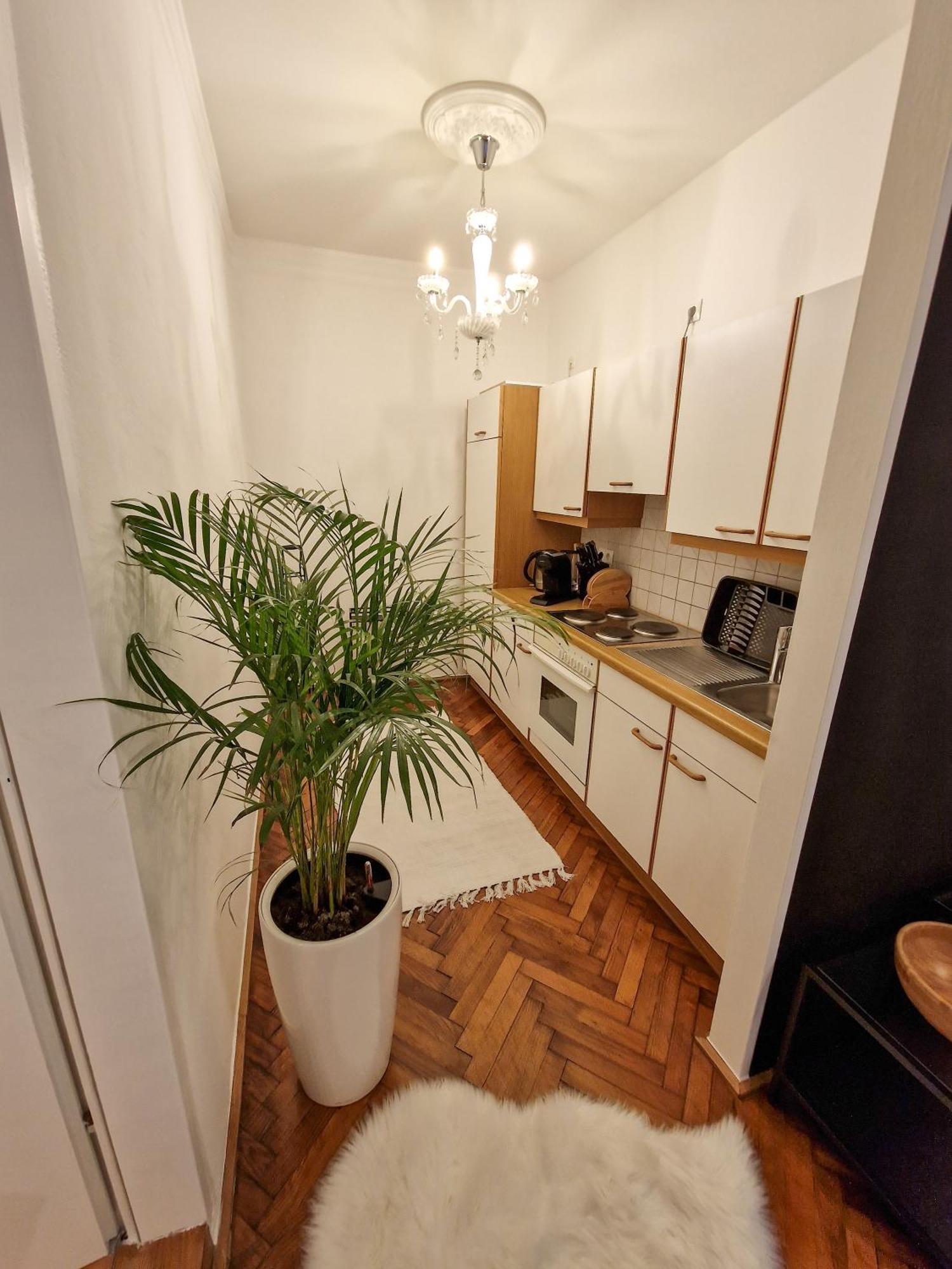Rm Appartements Murau Dış mekan fotoğraf